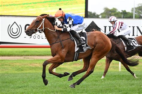 furious stakes|2022 Furious Stakes: Final Field, Barriers and Market.